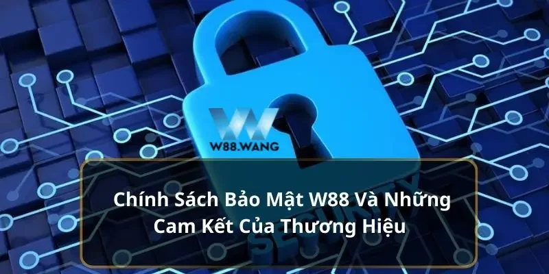 Chính Sách Bảo Mật 3 Cập nhật chính sách bảo mật mới nhất và đầy đủ tại W88