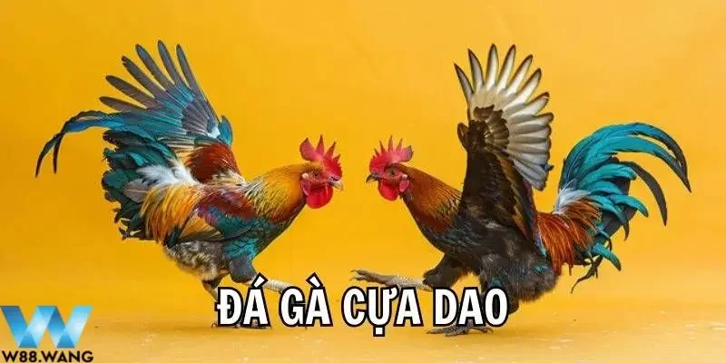 da ga cua dao