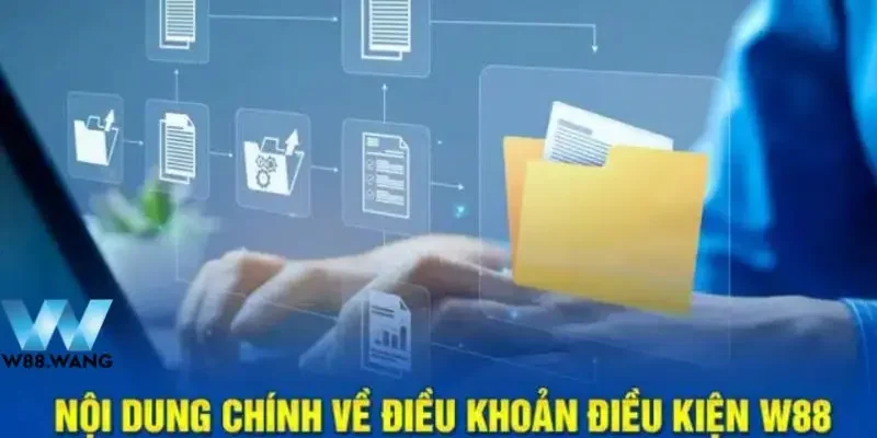 Điều Kiện Sử Dụng 2 Trách nhiệm của người chơi