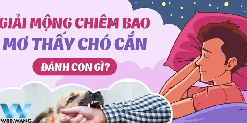 Lô Đề Con Chó Số Mấy Và Giải Mã Giấc Mơ Về Hình Ảnh Con Chó 4 Giải mã giấc mơ lô đề con chó số mấy chính xác từ chuyên gia chia sẻ?
