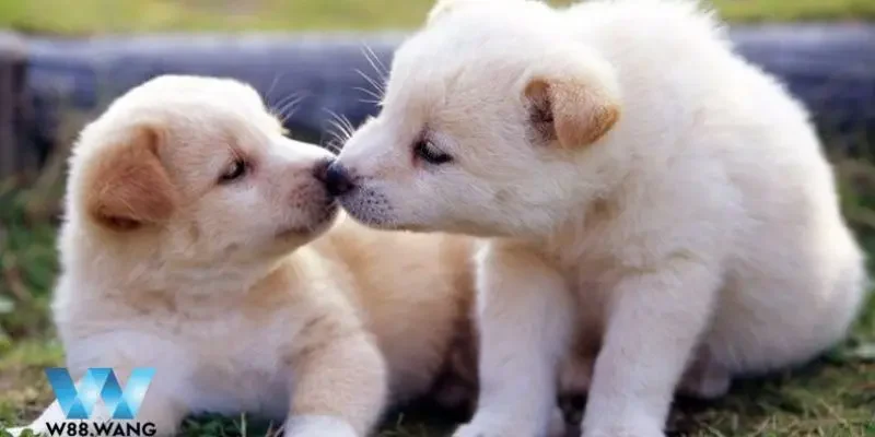 lo de con cho so may