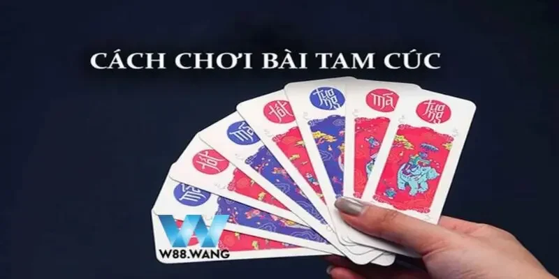 tam cuc